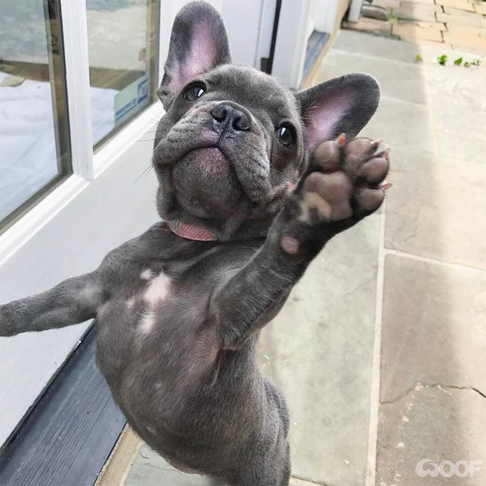 New Product for all123