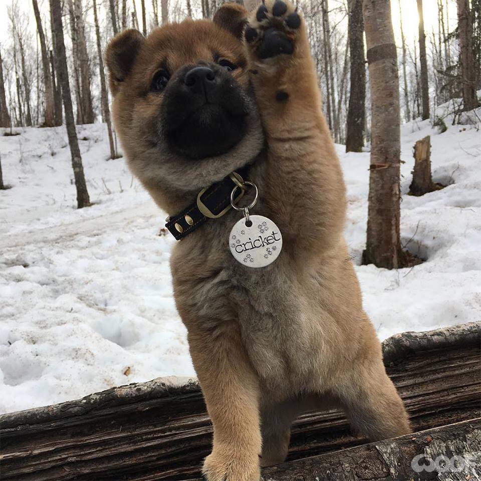 New Product for all123