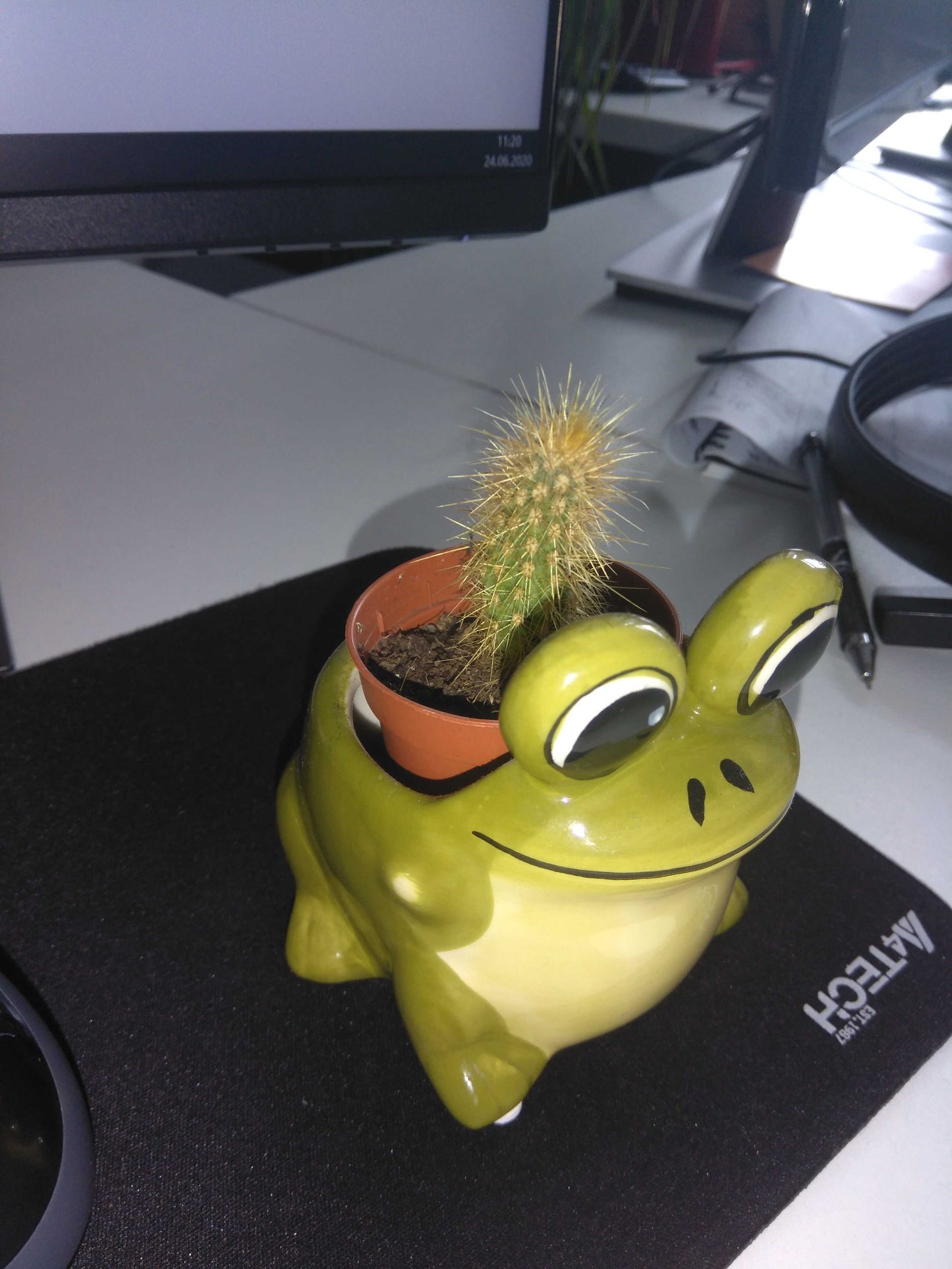 test_images
